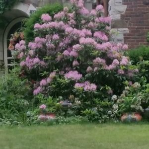 Meet your Posher, Sharon